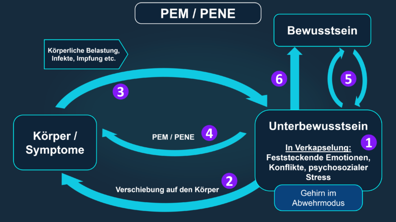 Post Exertional Malaise (PEM) - CFS-GENESUNG